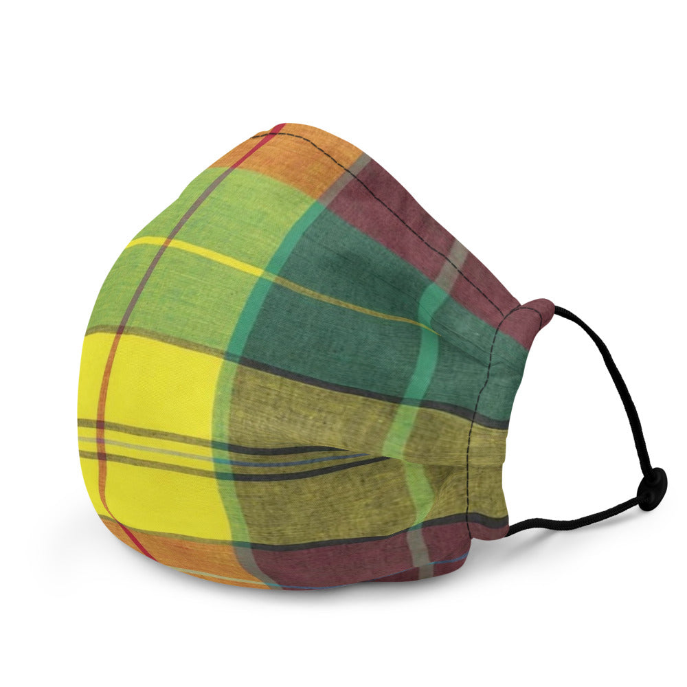 Madras Inspired Face Mask